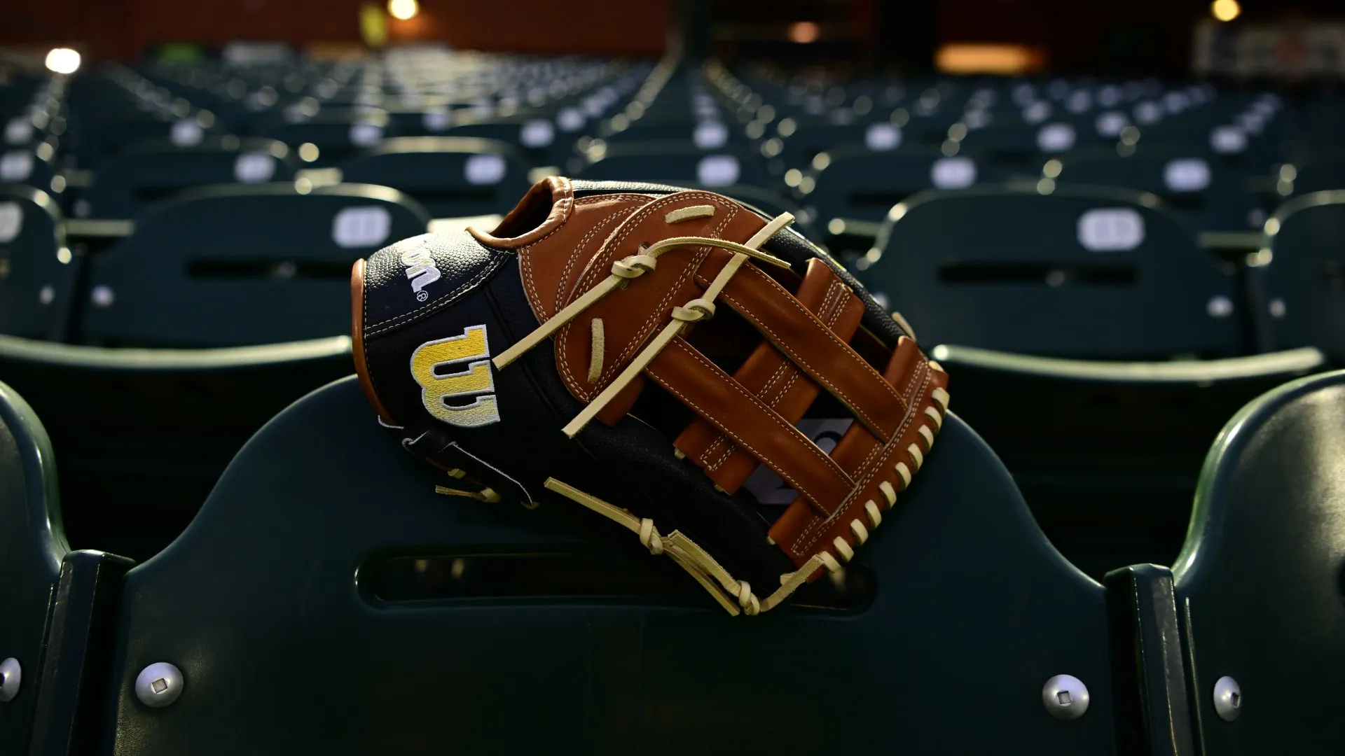 Rawlings Store -Rawlings Store A2000 1799